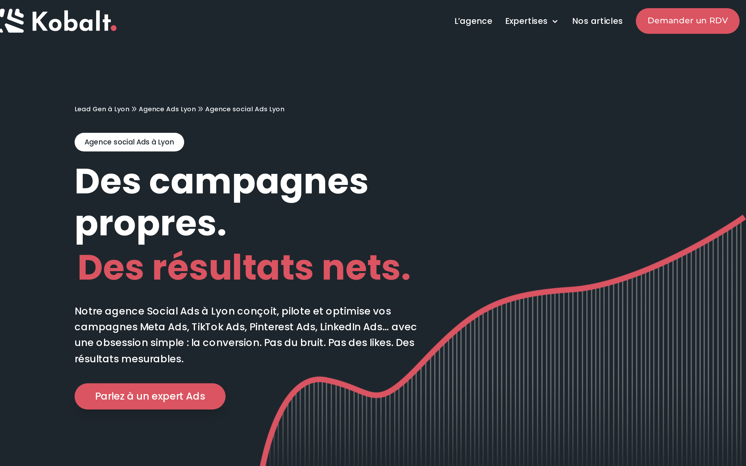 Aperçu du site Kobalt