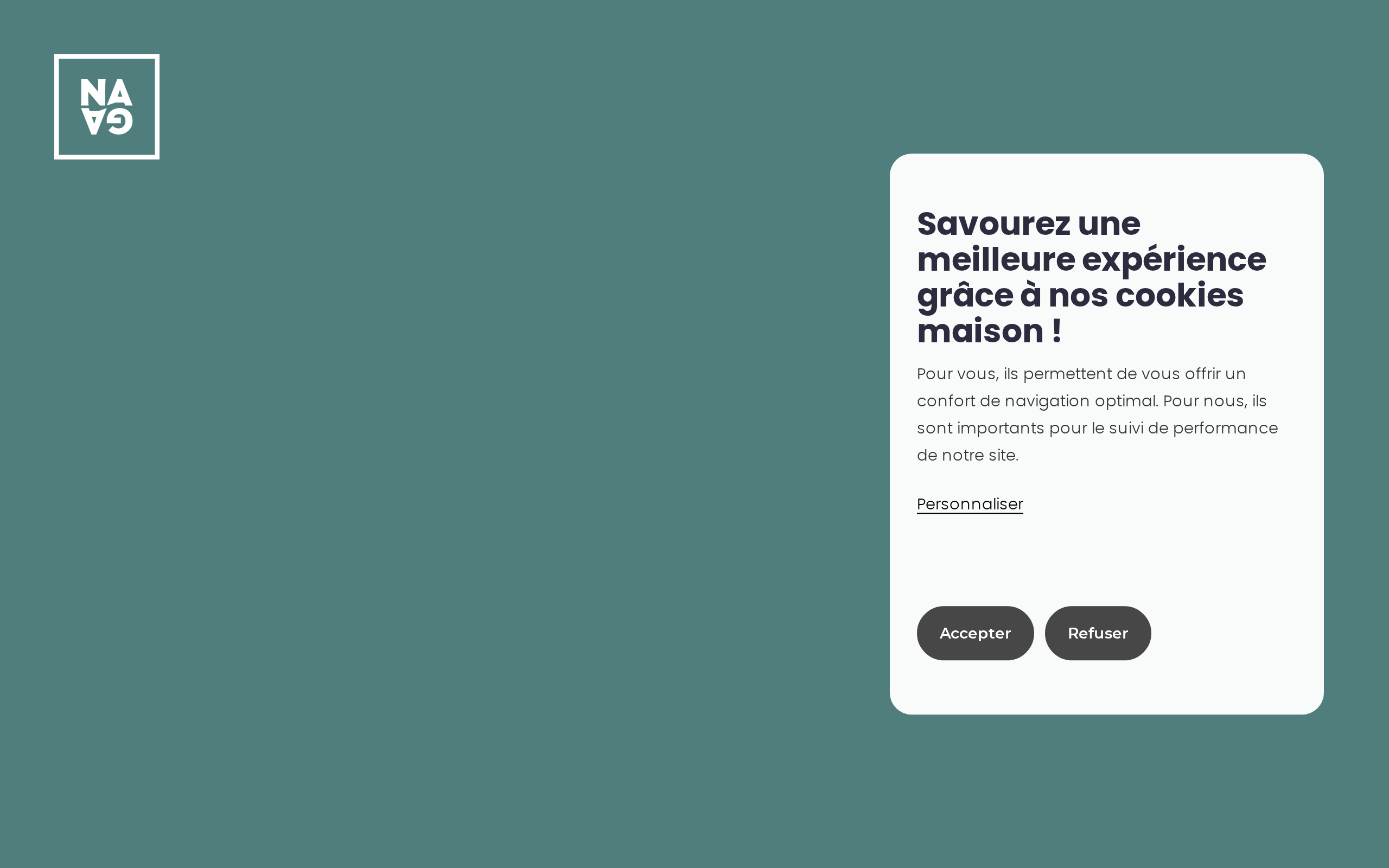Aperçu du site NAGA