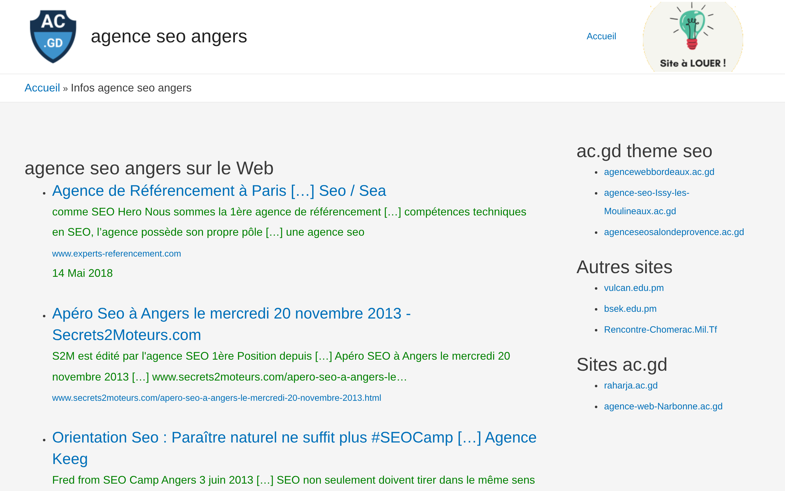 Aperçu du site Agence Seo Angers
