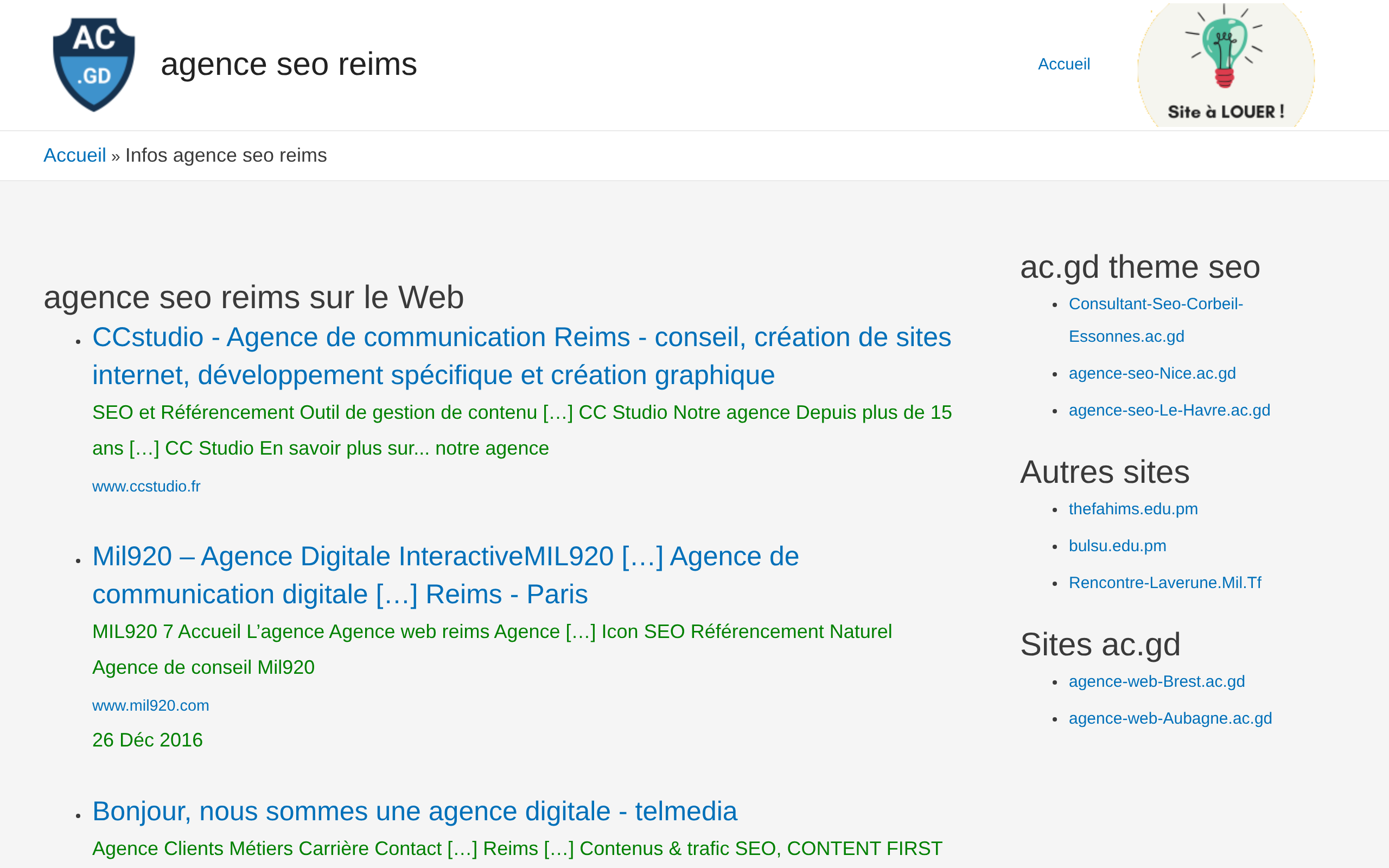Aperçu du site Agence Seo Reims
