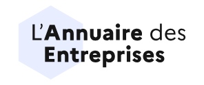 Logo SEA INVEST SHIPPING AGENCY (FRANCOIS BOYER DE LA GIRODAY - MUSO)