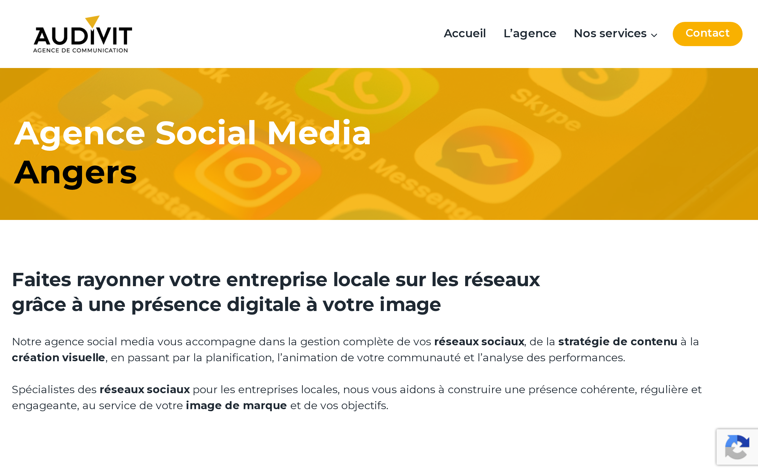 Aperçu du site Audivit