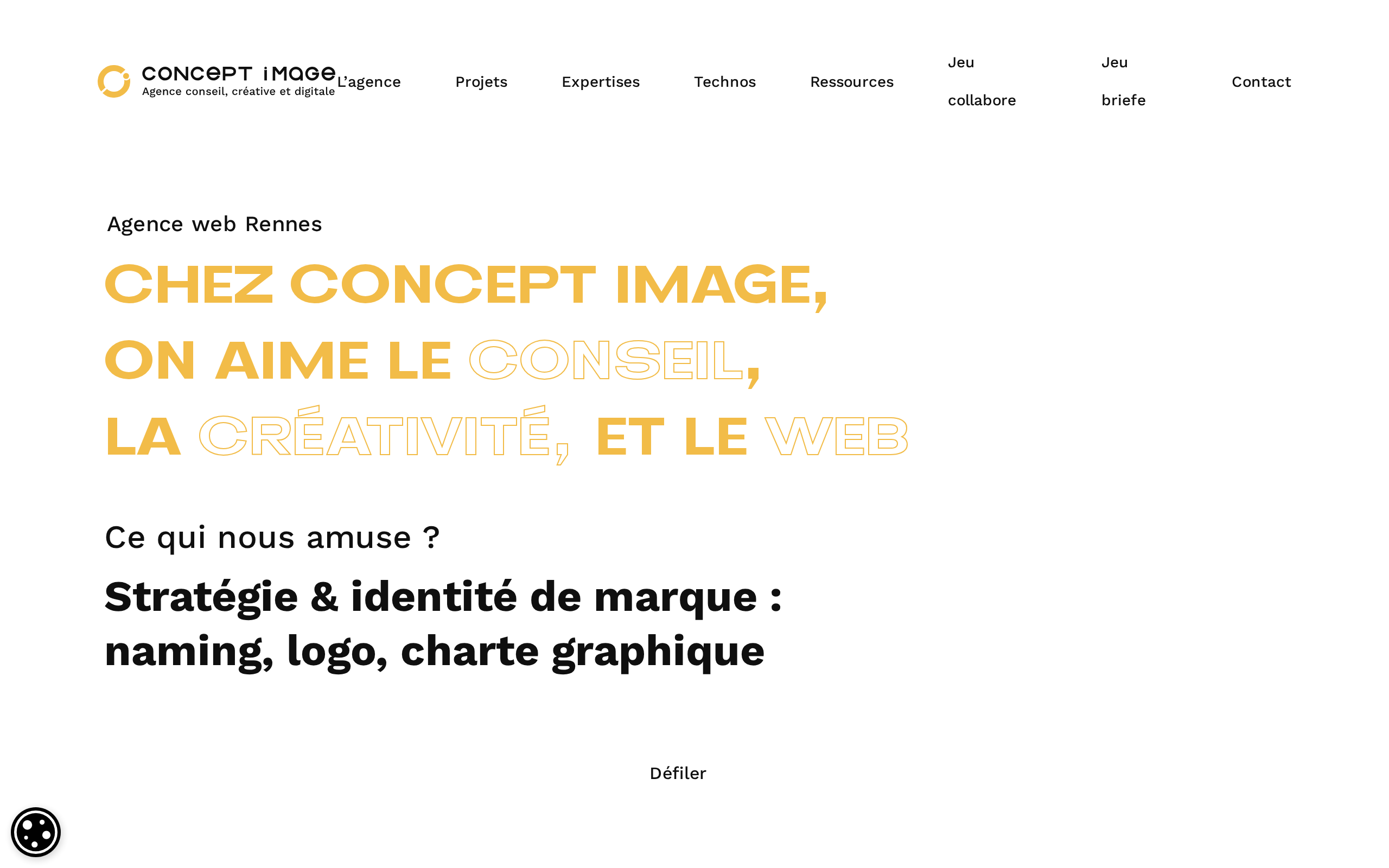 Aperçu du site Concept Image