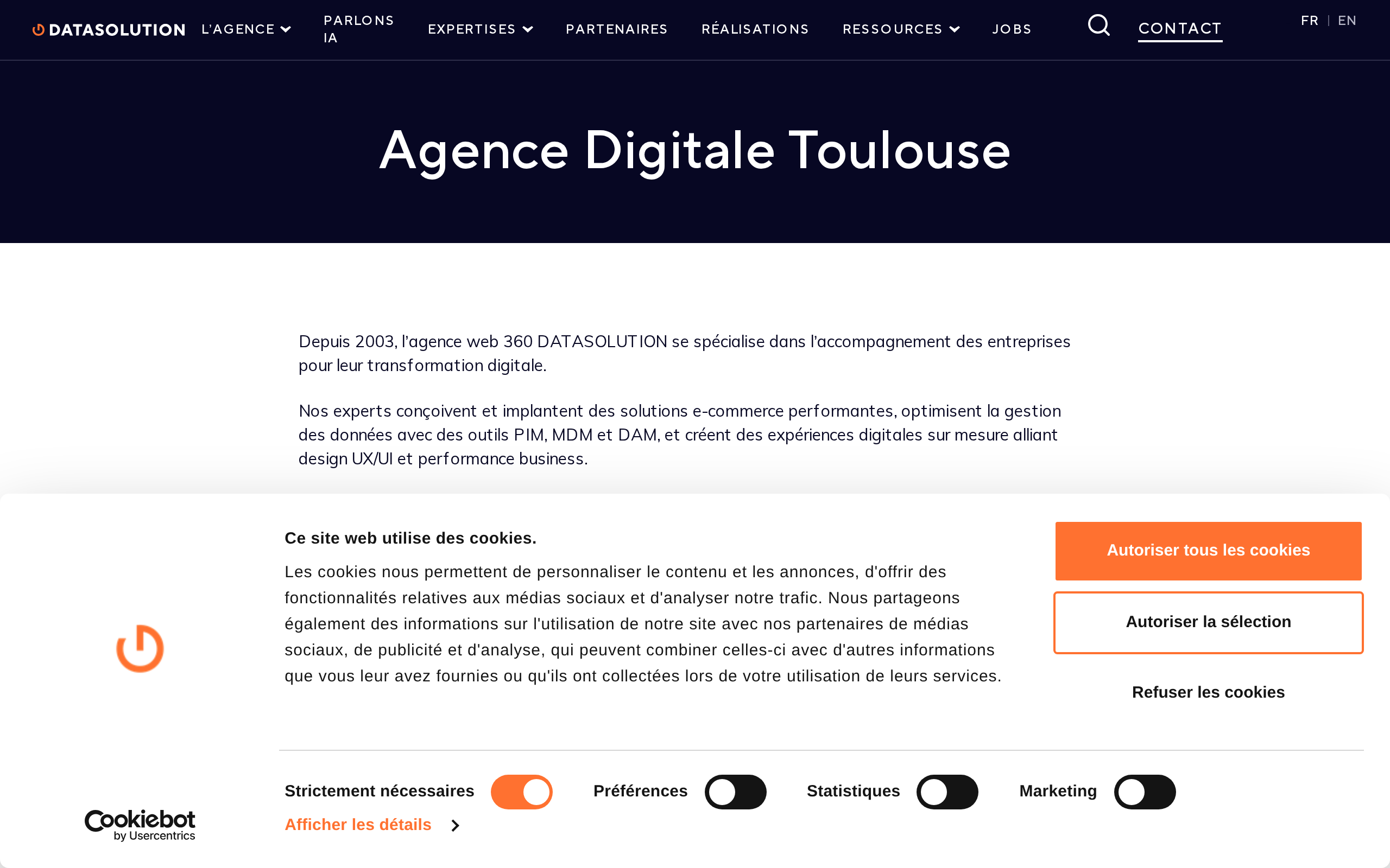 Aperçu du site DATASOLUTION