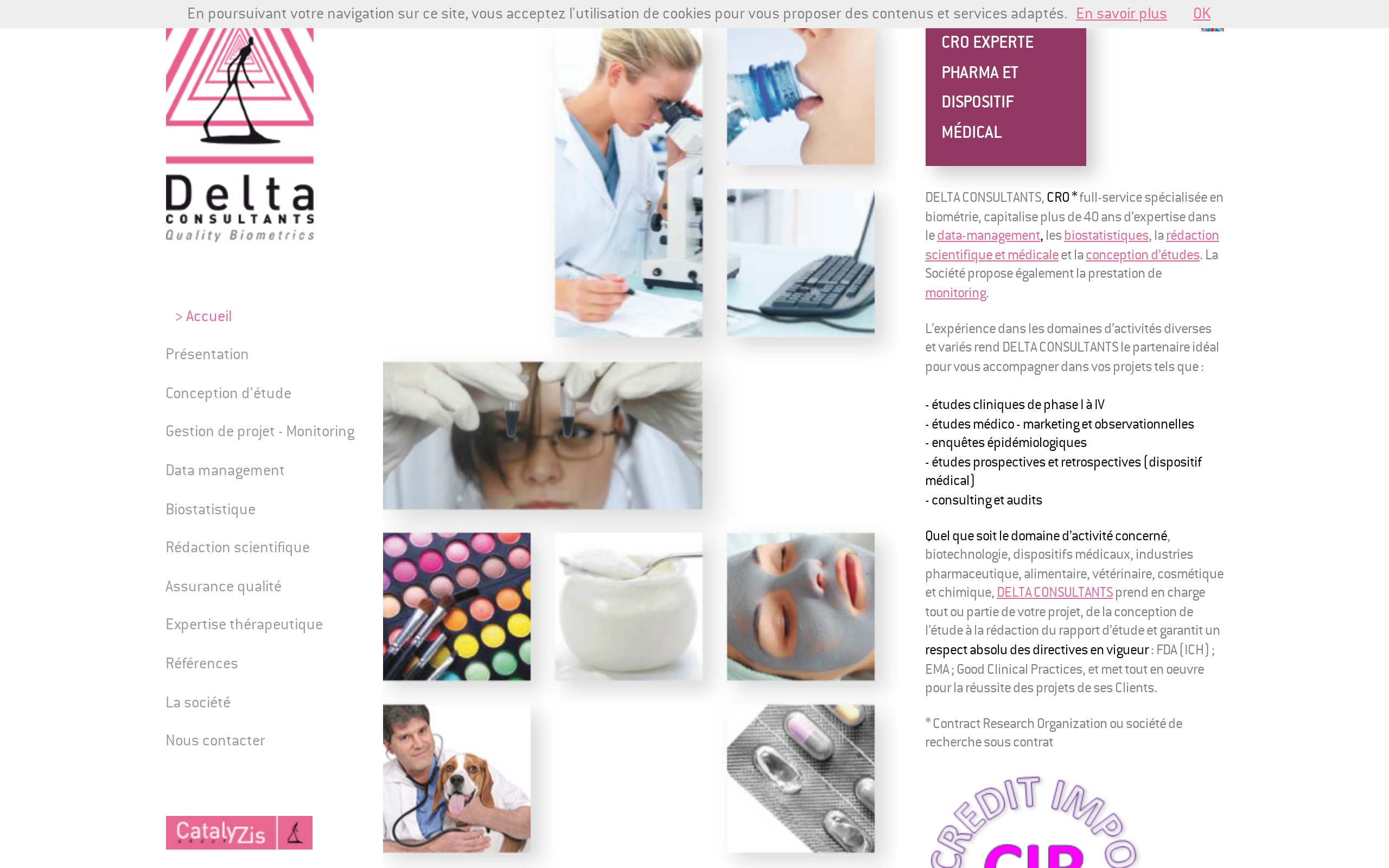 Aperçu du site Delta Consultants
