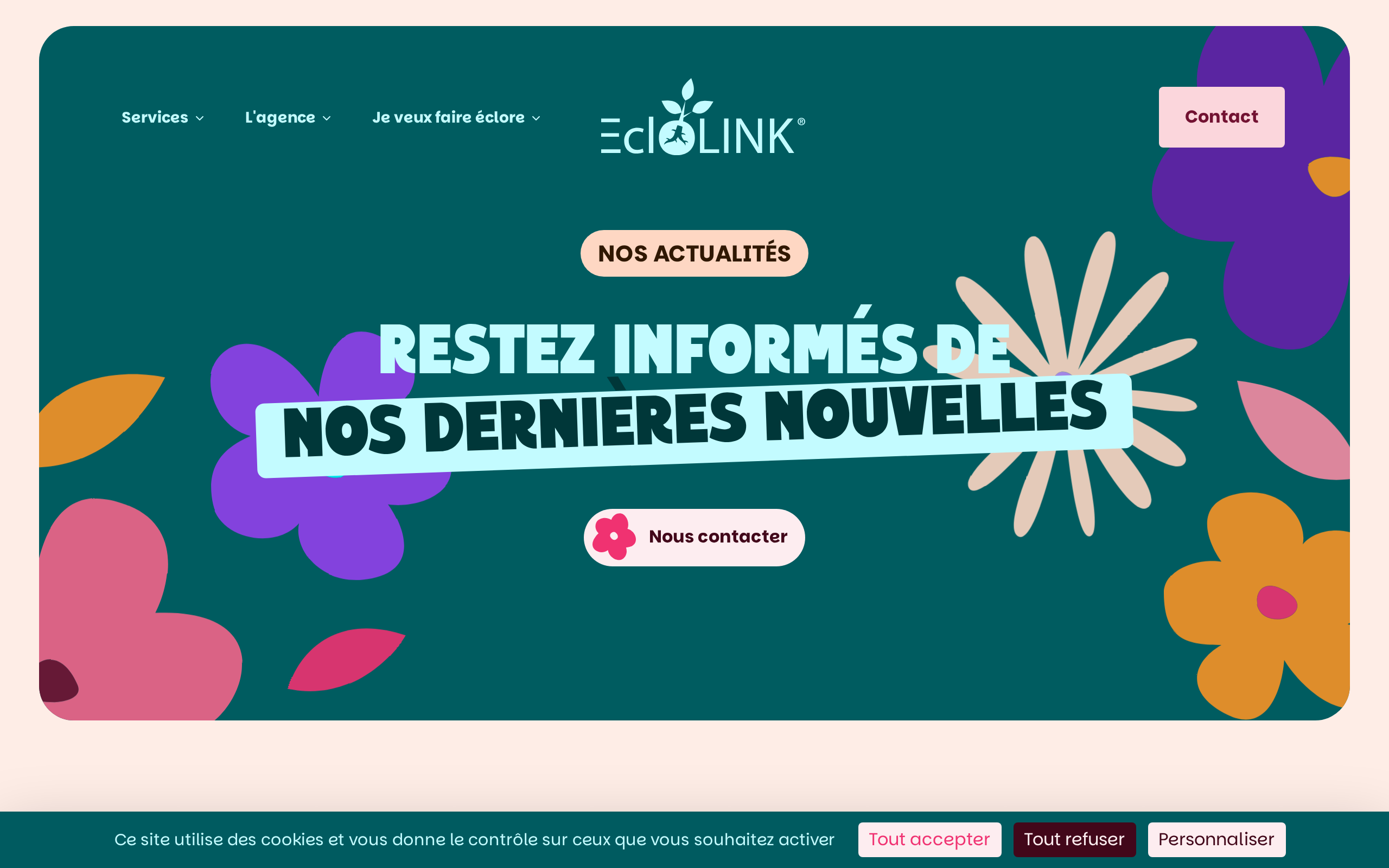 Aperçu du site EcloLINK