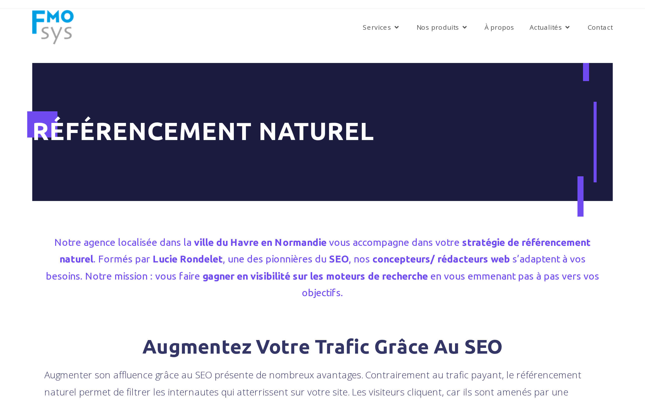 Aperçu du site FMOSys
