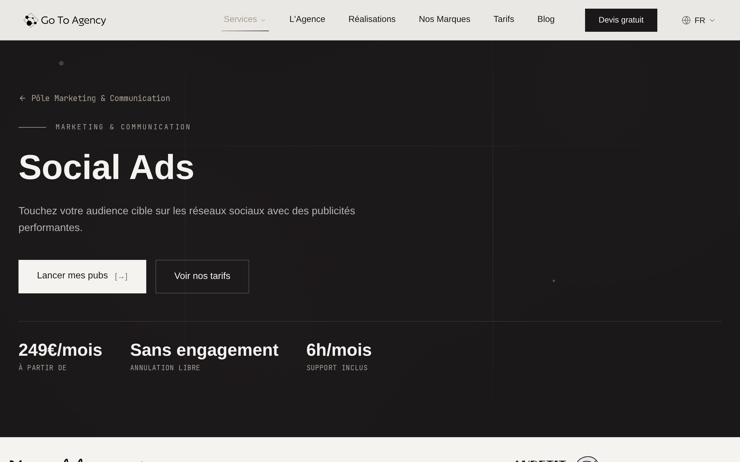Aperçu du site Go To Agency