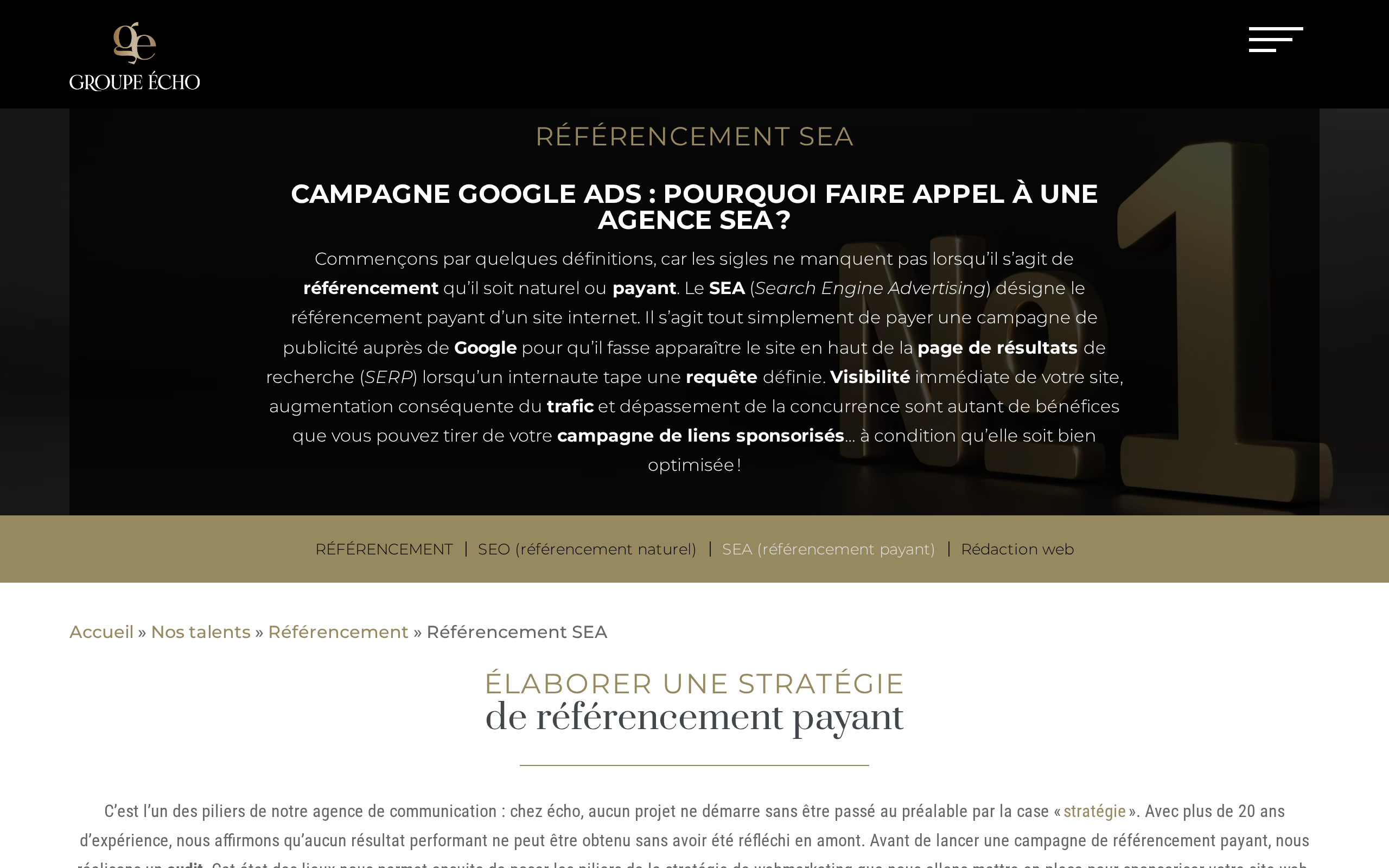 Aperçu du site Groupe Écho