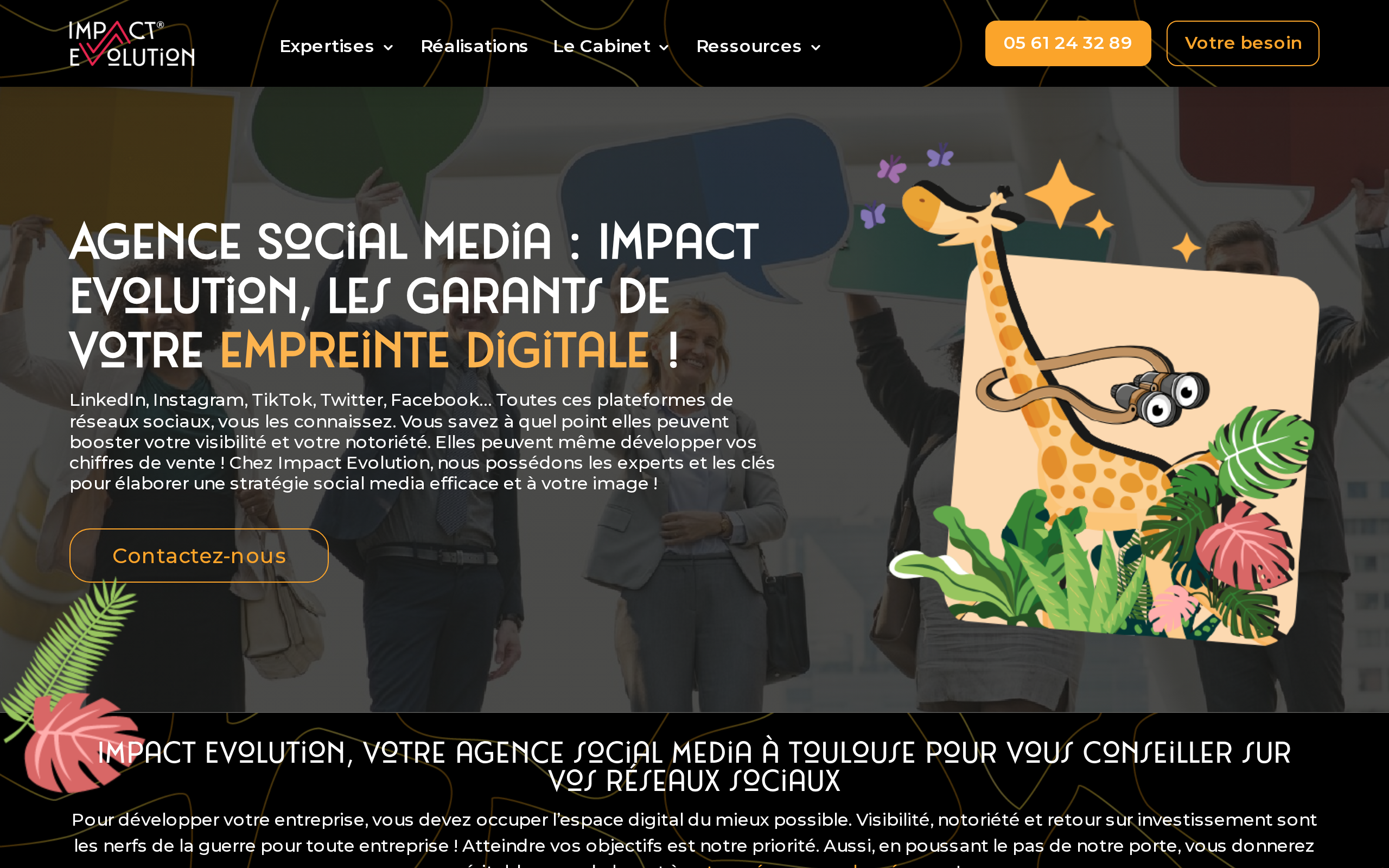 Aperçu du site Impact Evolution