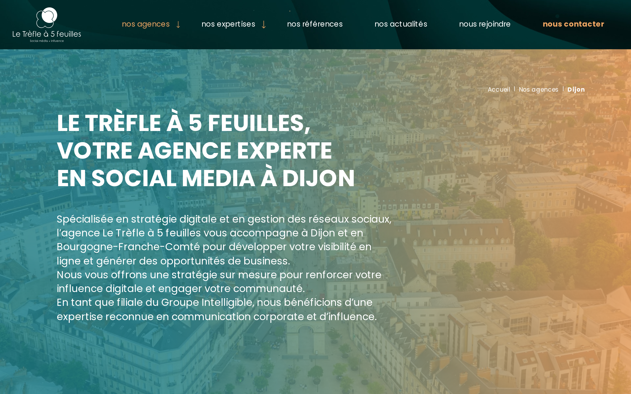 Aperçu du site Le Trèfle à 5 feuilles