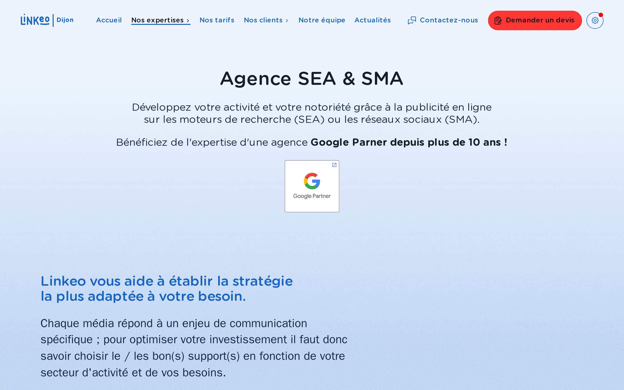 Aperçu du site Linkeo