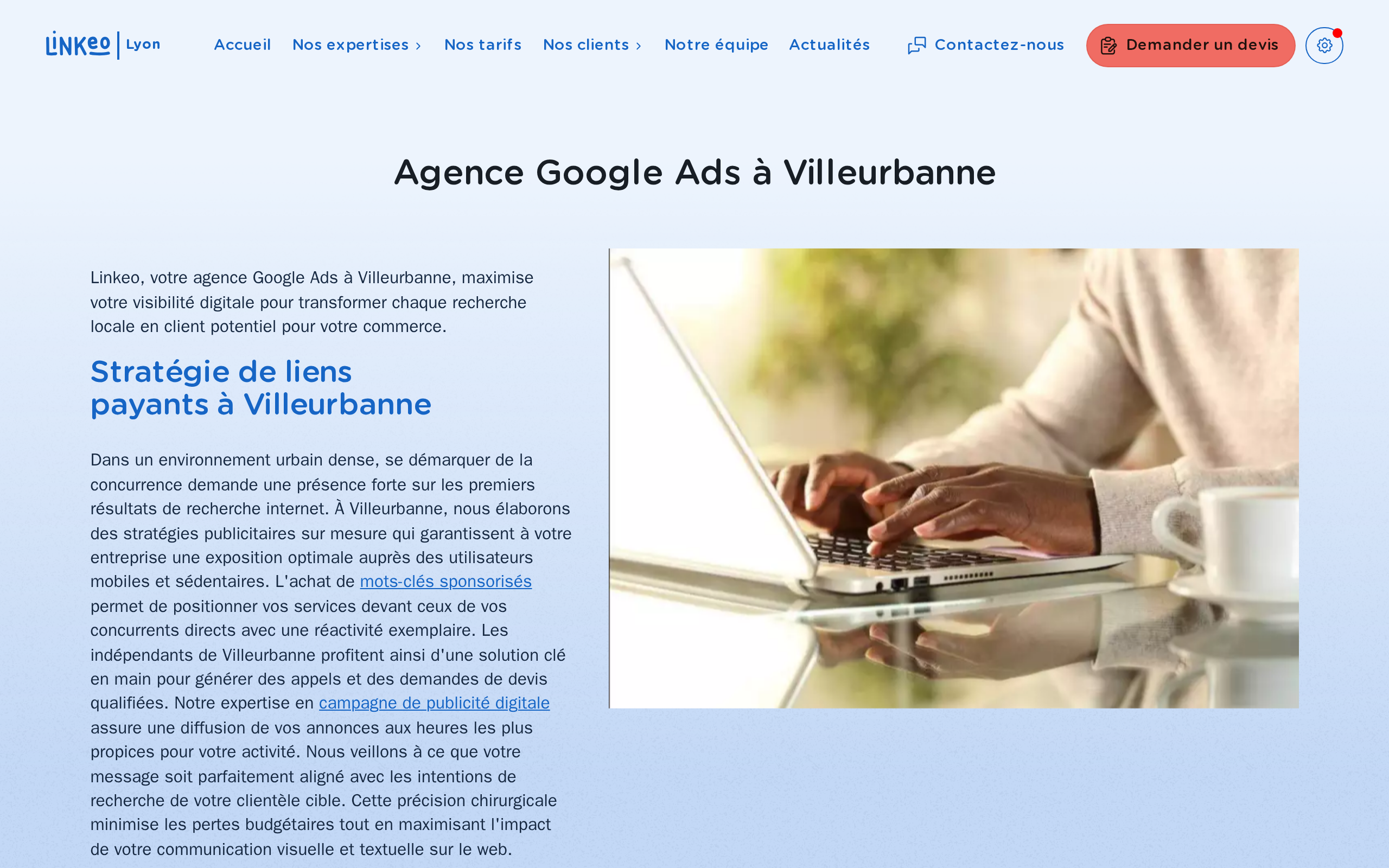 Aperçu du site Linkeo