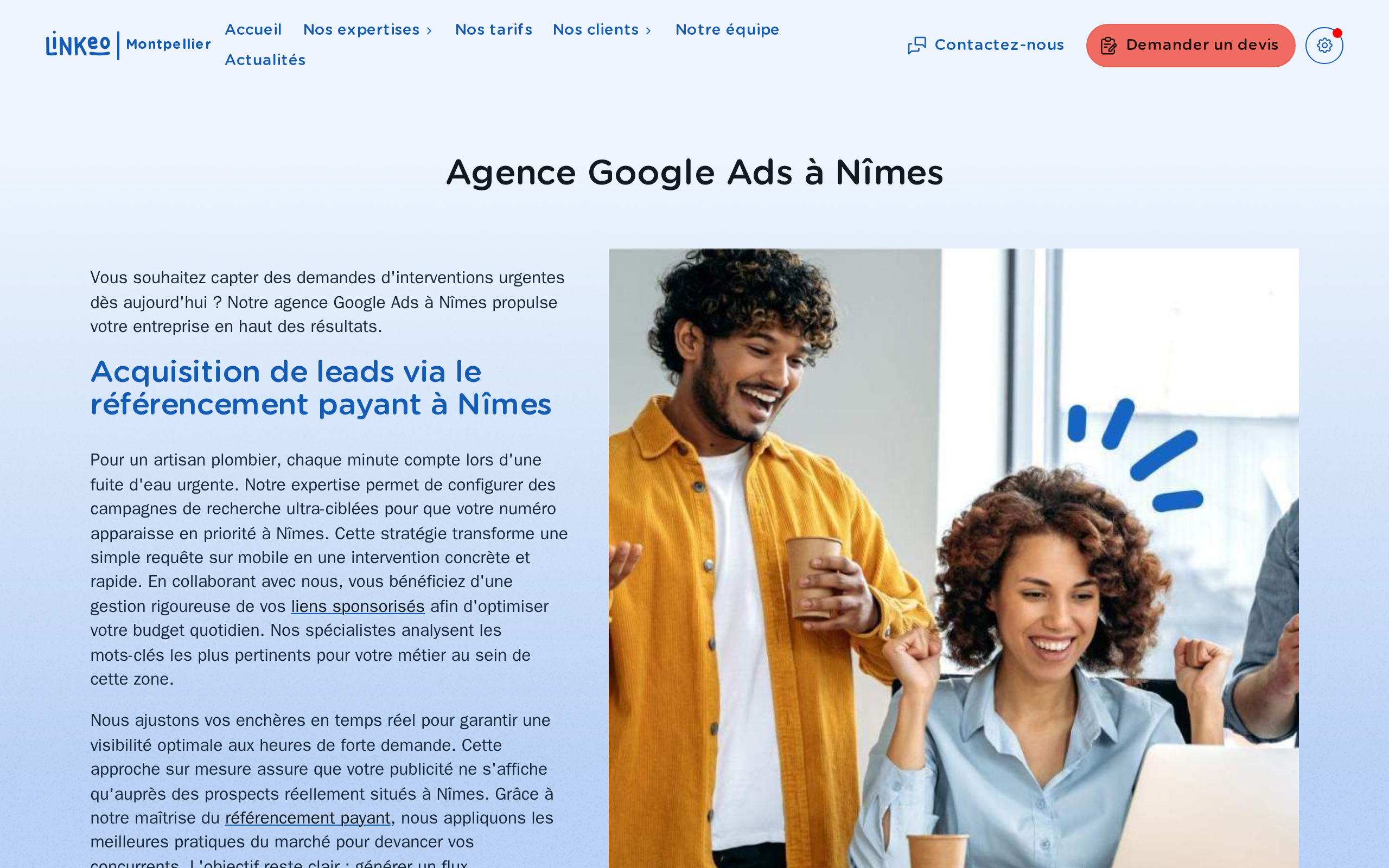 Aperçu du site Linkeo