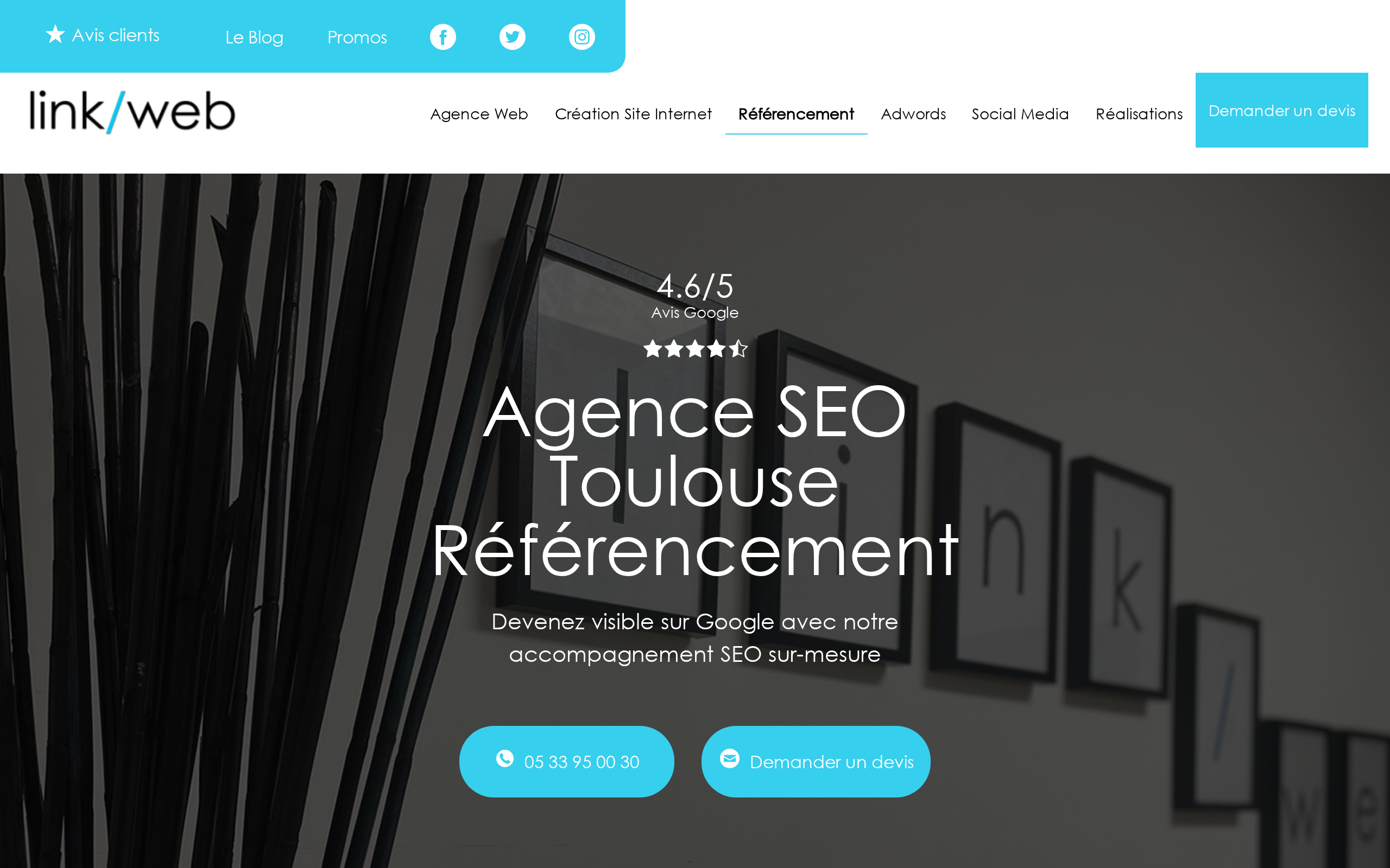 Aperçu du site Linkweb