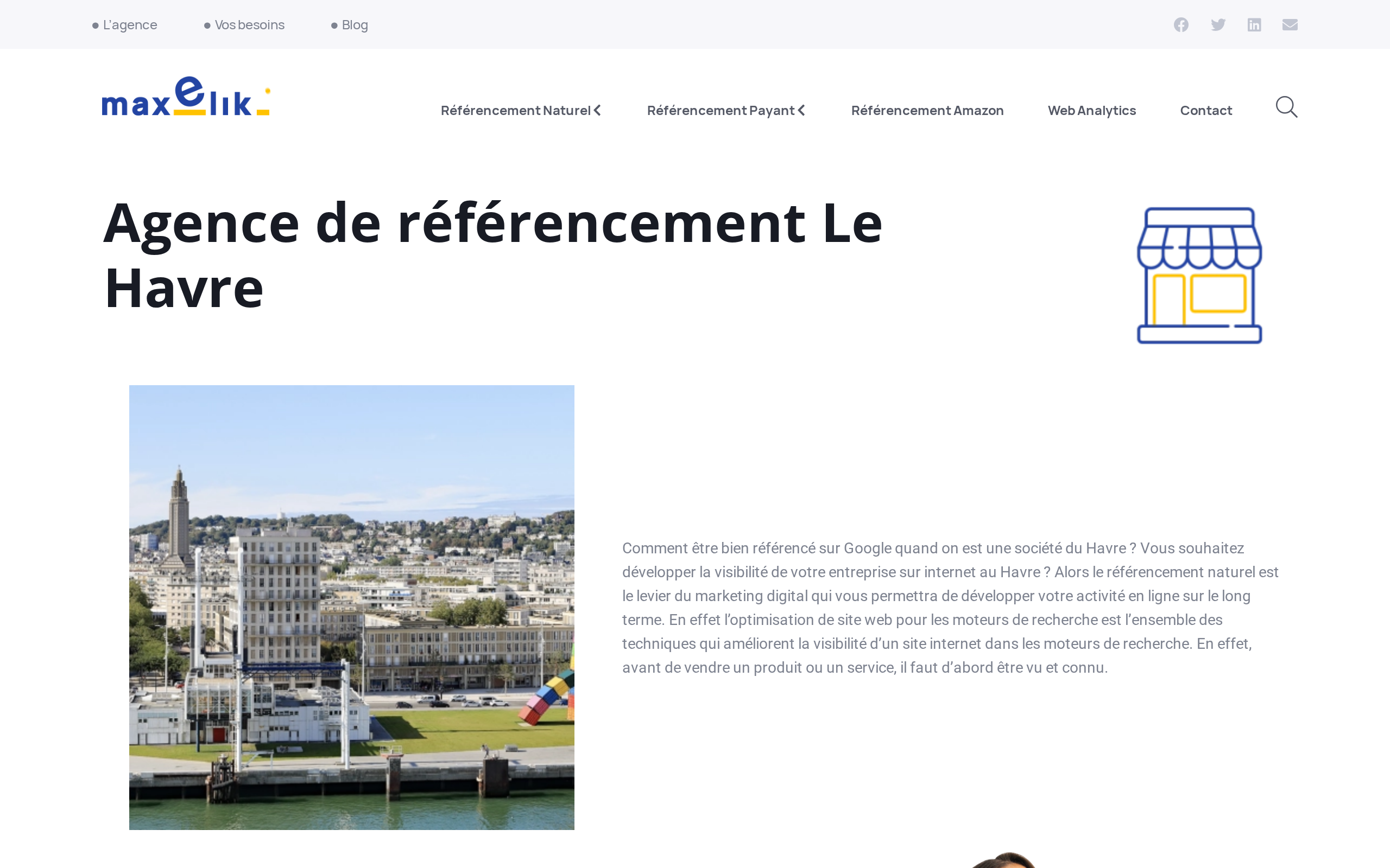 Aperçu du site Maxelik