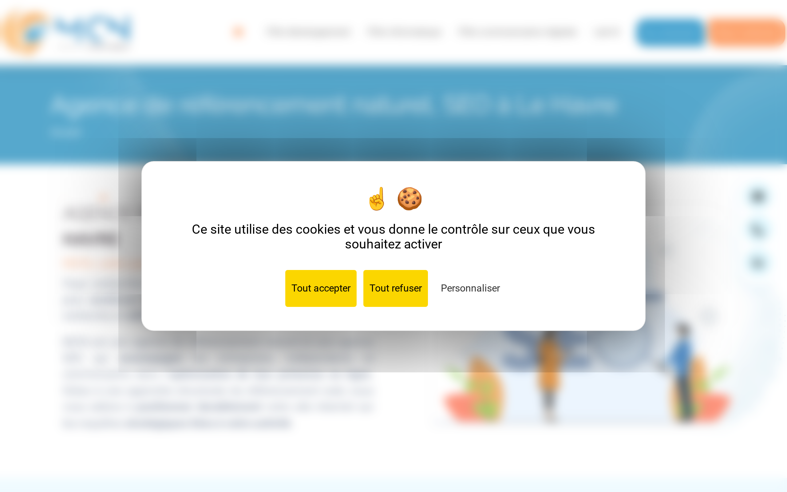 Aperçu du site MCN