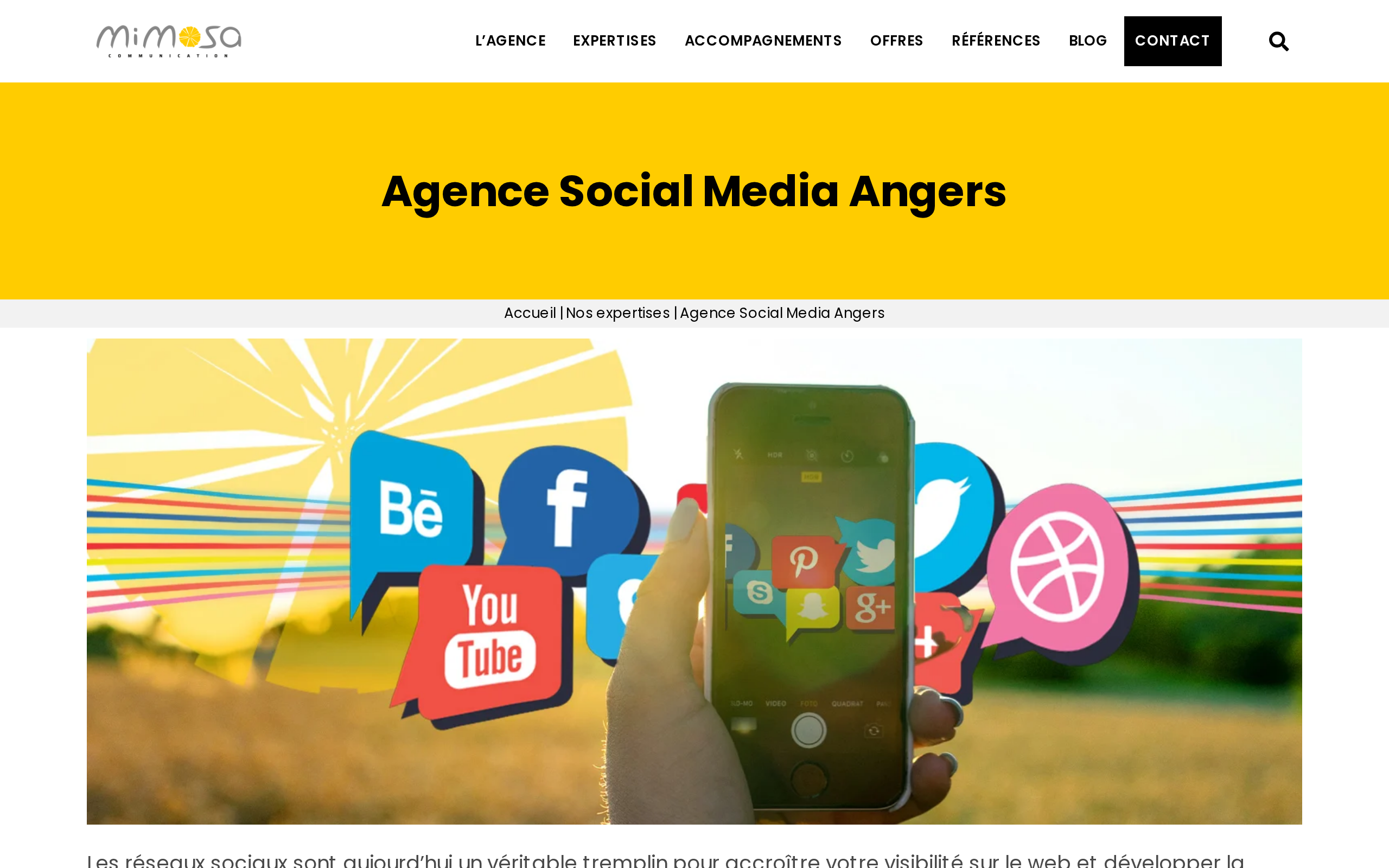 Aperçu du site Mimosa