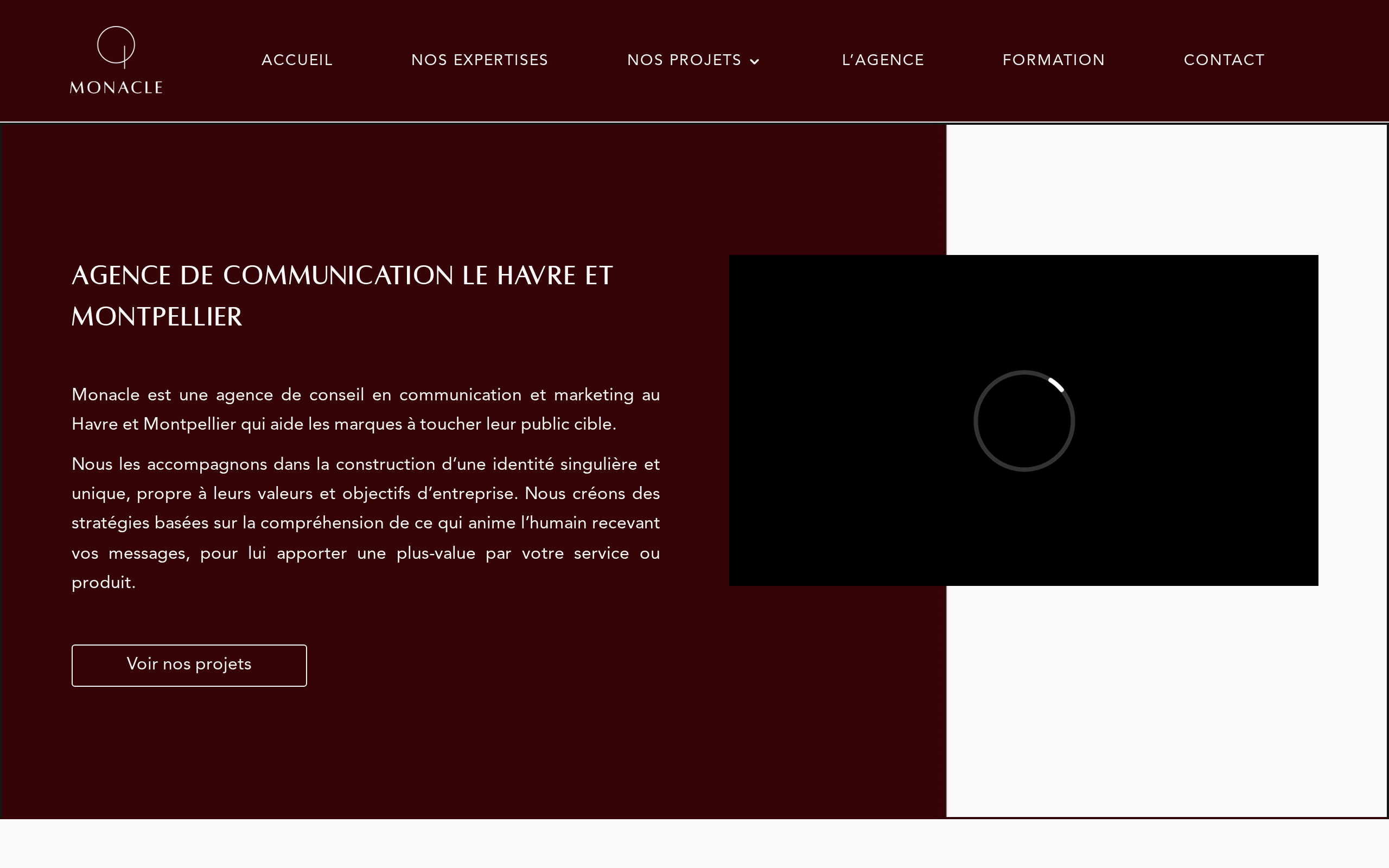 Aperçu du site Monacle