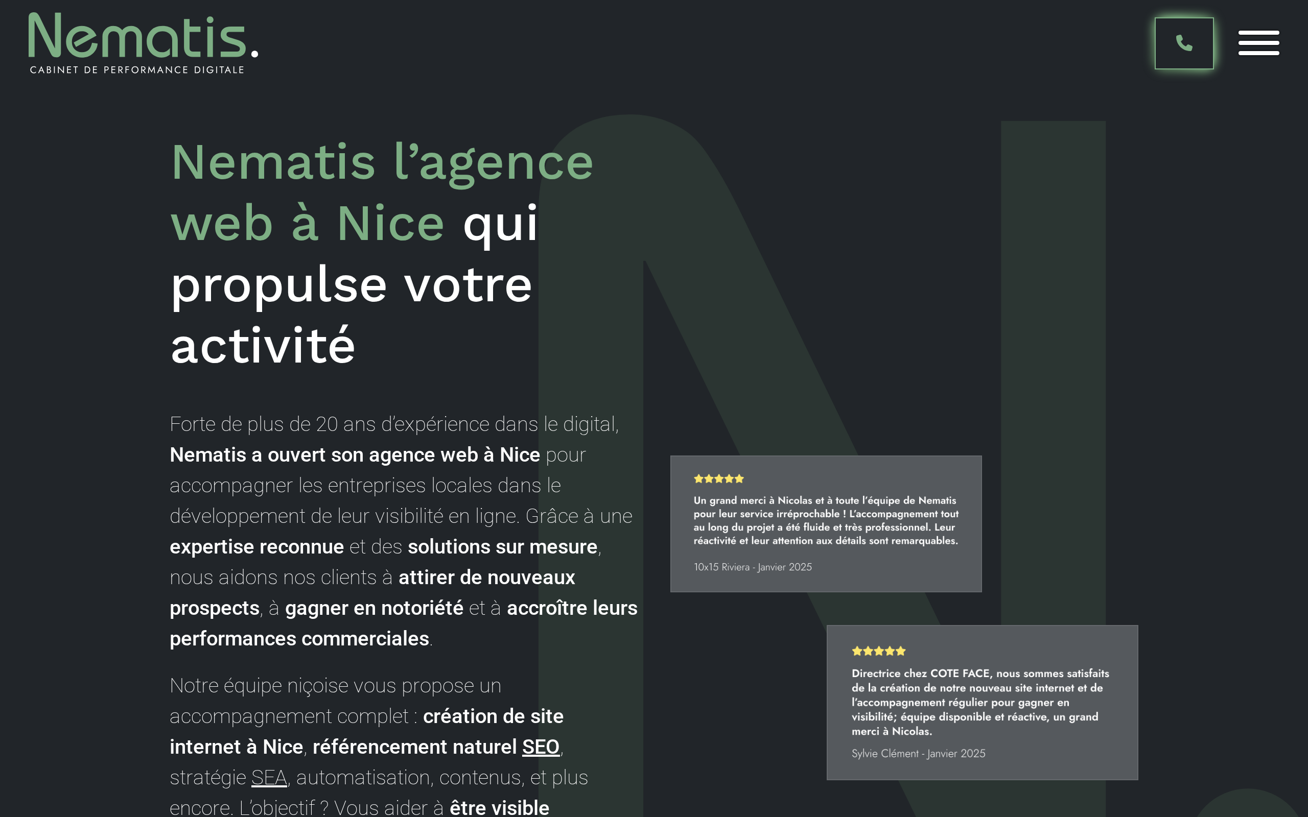 Aperçu du site Nematis