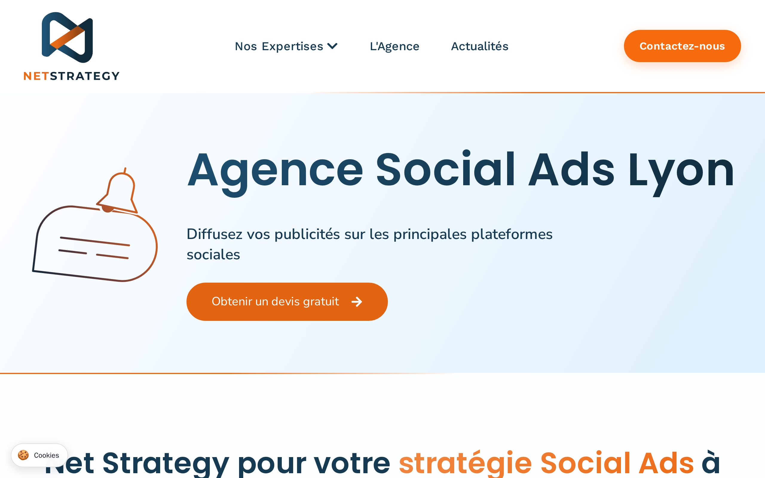Aperçu du site Net Strategy