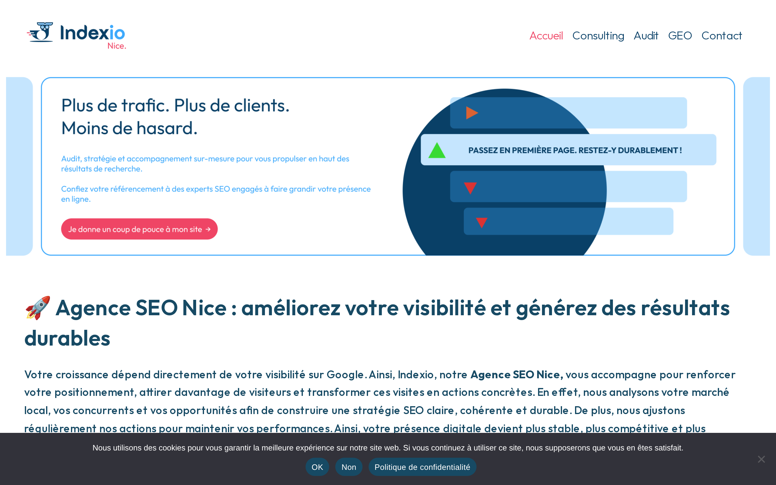 Aperçu du site Indexio
