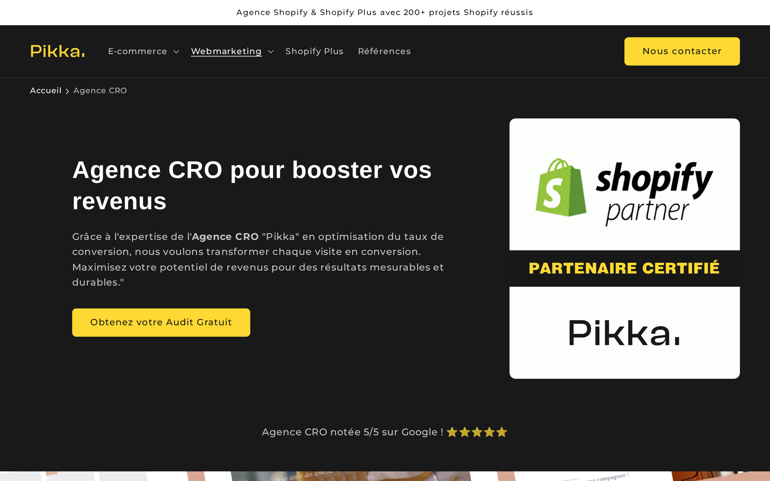 Aperçu du site Pikka