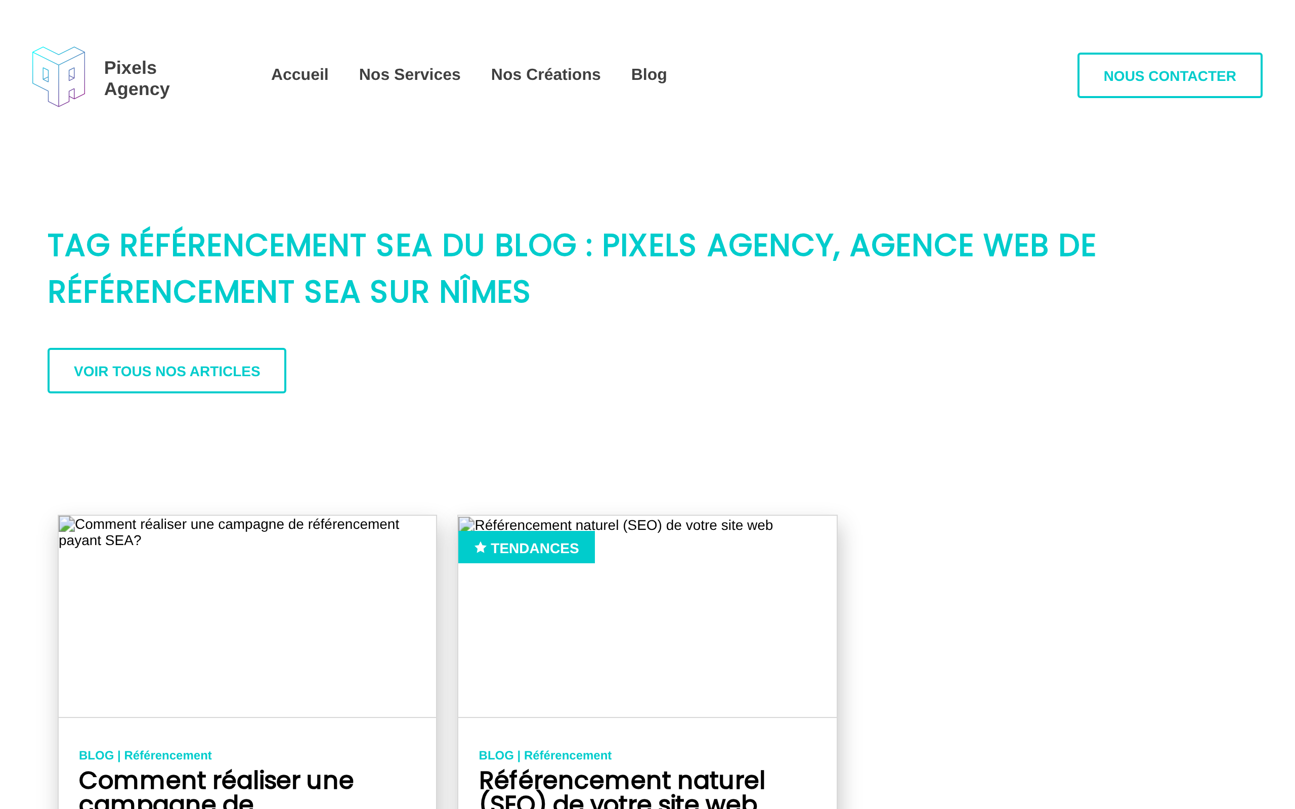 Aperçu du site Pixels Agency