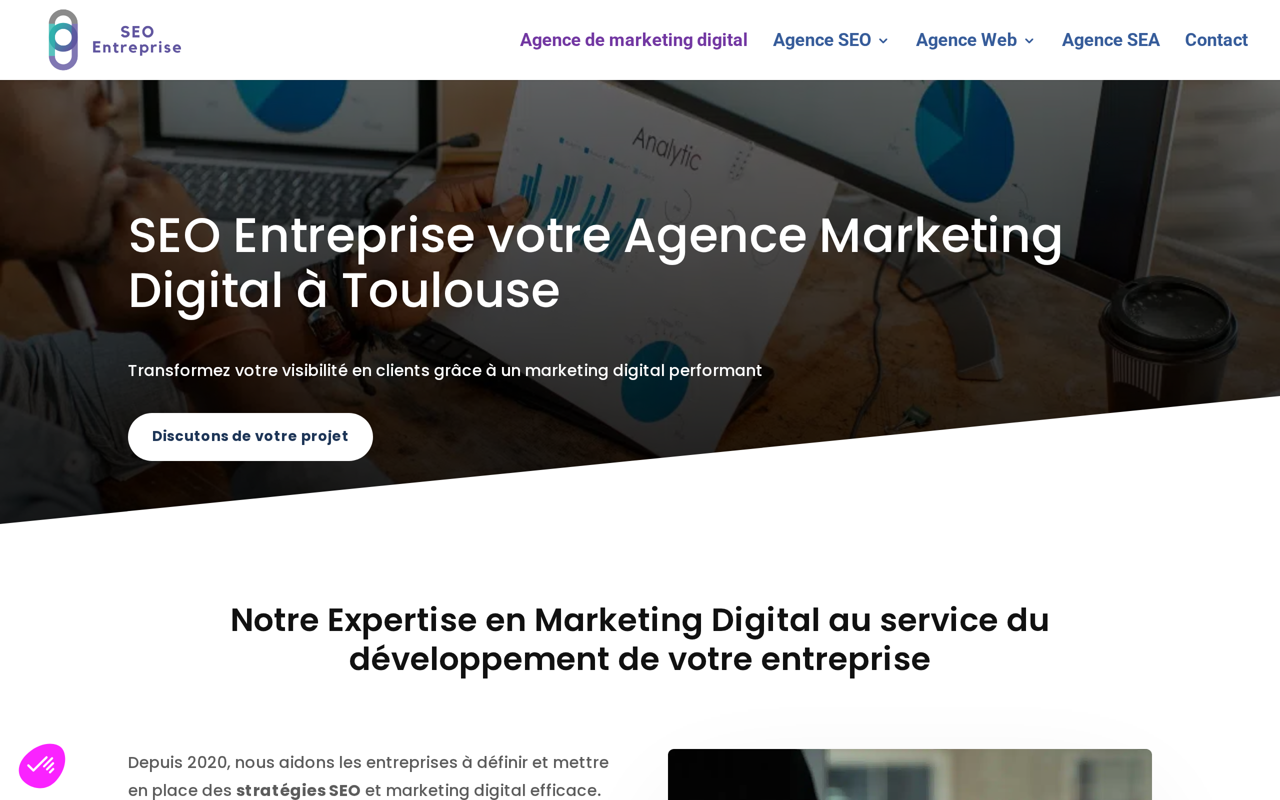 Aperçu du site SEO Entreprise