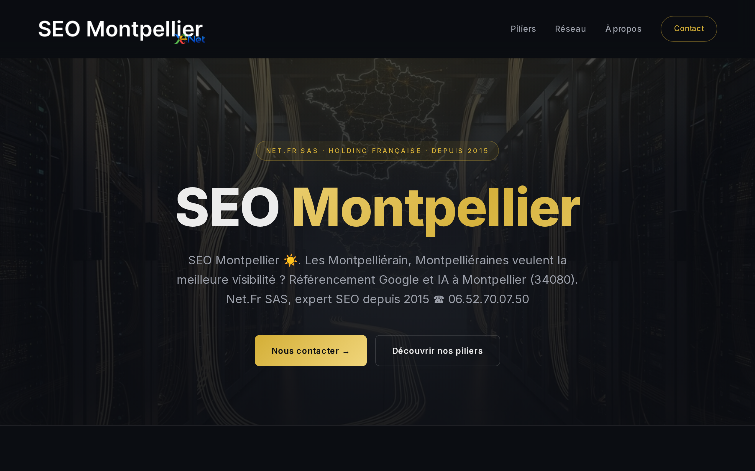 Aperçu du site Net.Fr SAS