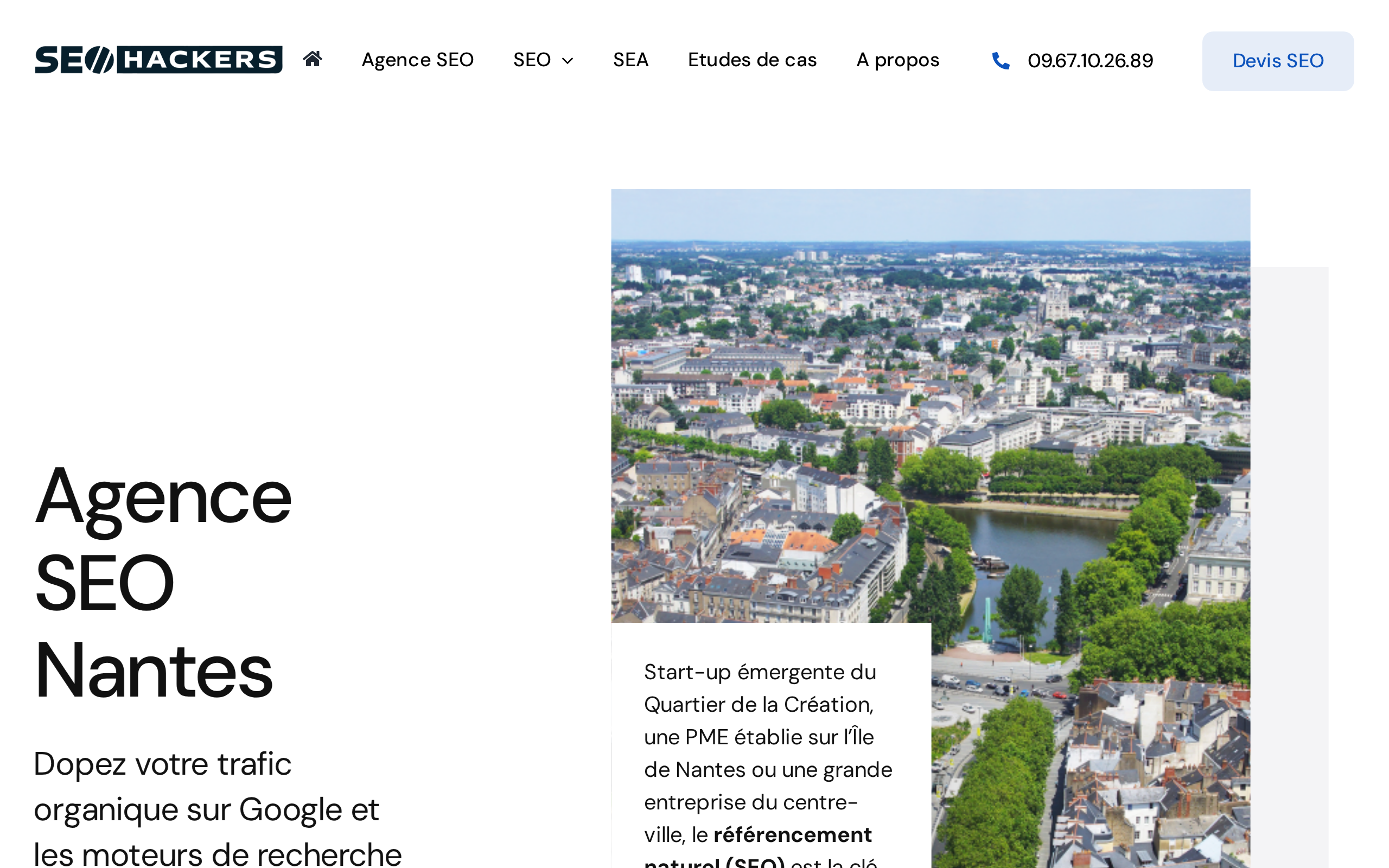 Aperçu du site SEO Hackers