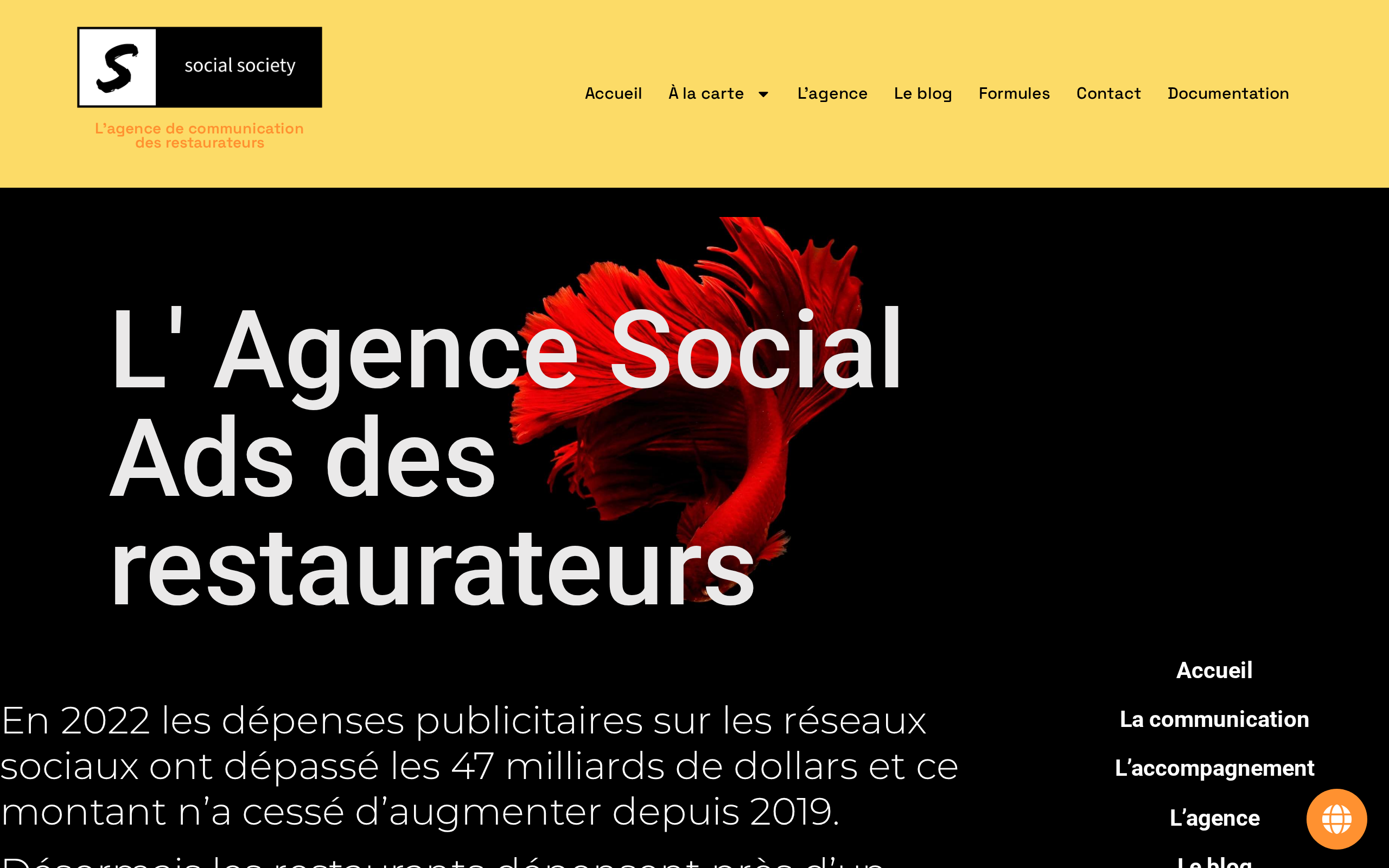 Aperçu du site Social Society