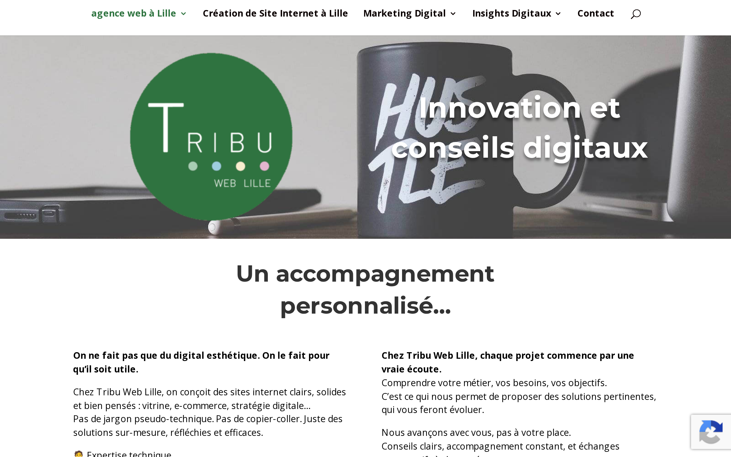 Aperçu du site Tribu Web LILLE