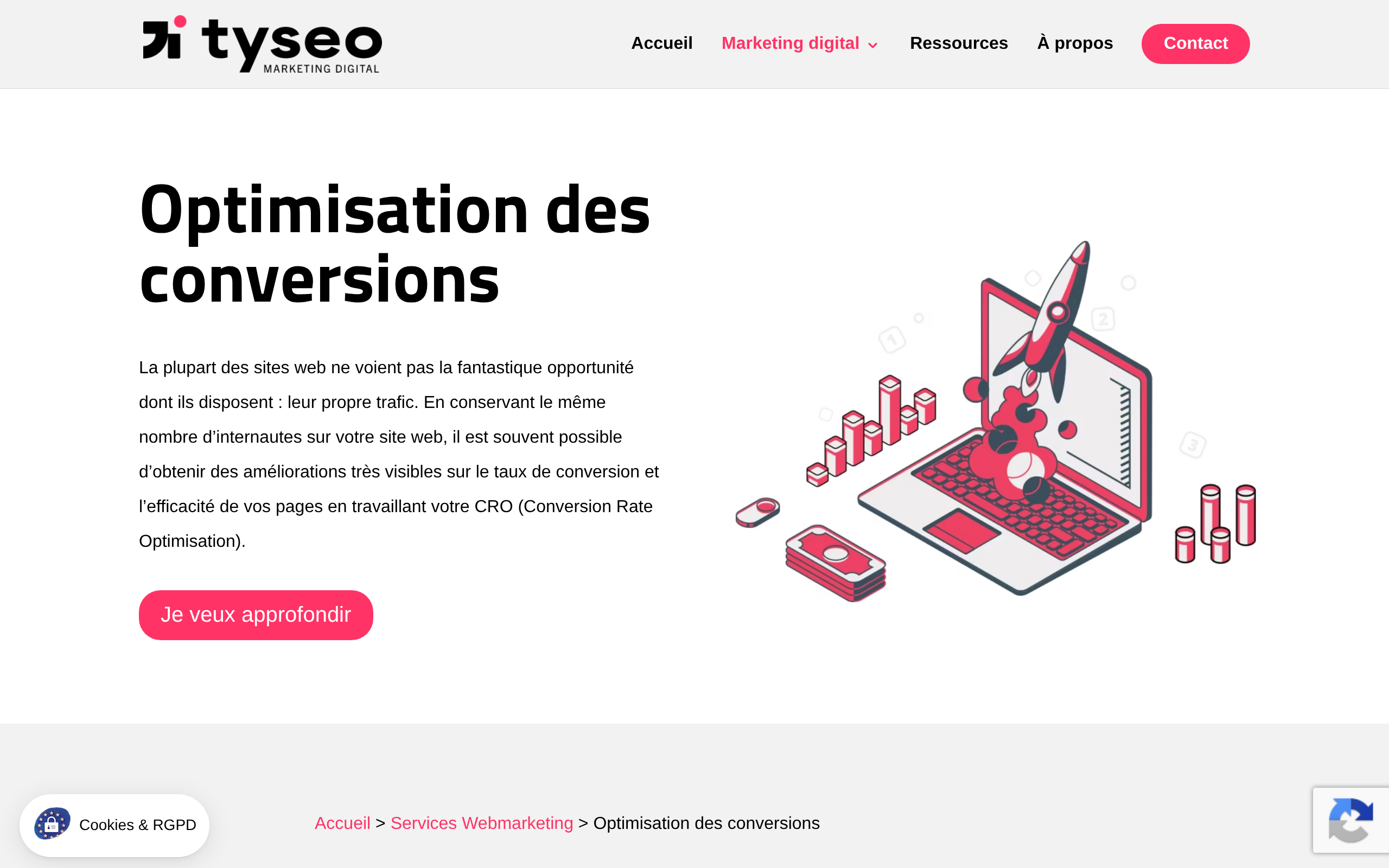Aperçu du site Tyseo
