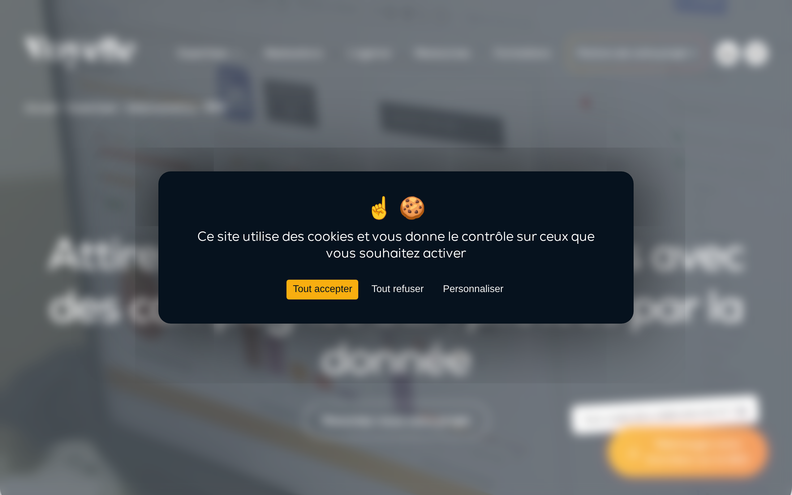 Aperçu du site Voyelle